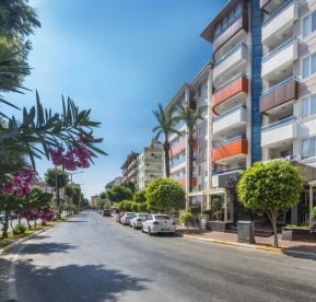 LONICERA CITY