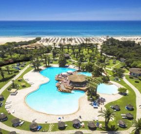 Sentido Phenicia Superior