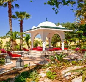 SIMBA CLUB - Samira Club Standard