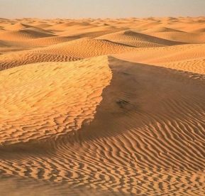 Тунис от А до Я - полет от София - 2026