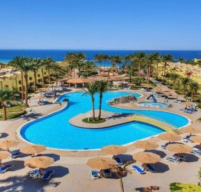 Palm Beach Resort Standard